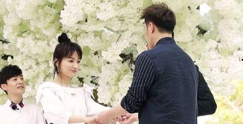 吃瓜网最新动态更新,娱乐圈风云再起,明星隐私大揭秘!