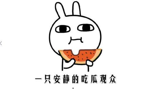 吃瓜网红都有谁,盘点当红“吃瓜”达人