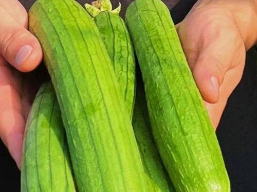 吃瓜网推荐人,人生百态，品味人间烟火