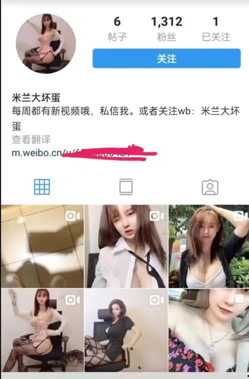 知名网红吃瓜事件视频曝光,揭秘幕后真相