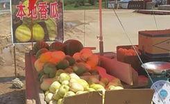 吃瓜群众 新华网,揭秘新闻背后的故事