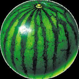 吃瓜网红视角下载安装,轻松下载安装，解锁娱乐新姿势