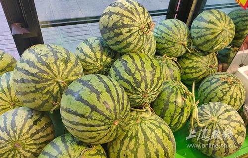 吃瓜网16,热点事件背后的真相与内幕