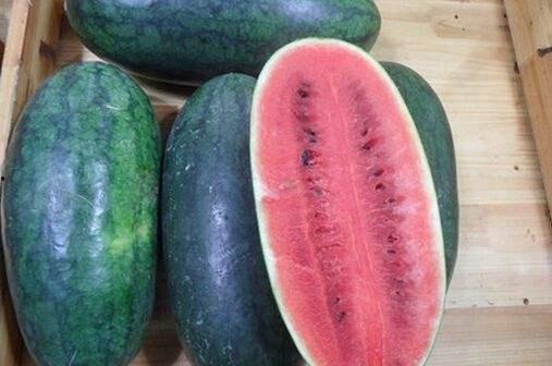 扒哥吃瓜 网红黑料,网红黑料大曝光