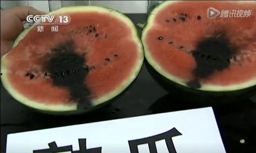 揭秘网红吃瓜视频大全集,揭秘娱乐圈幕后真相