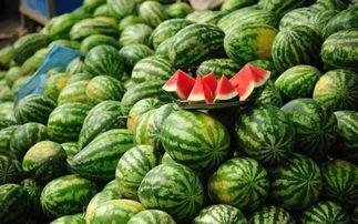 景德镇网红吃瓜事件始末,从热议到反思的舆论漩涡