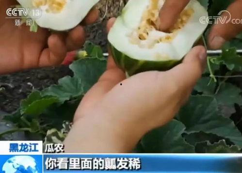 康县网红吃瓜视频爆料曝光