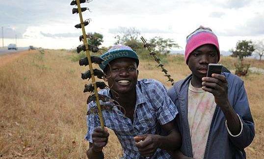 非洲网红吃瓜图片视频,趣味视频走红网络