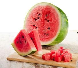 吃瓜网最新管网,海量资讯一网打尽，带你畅游网络世界