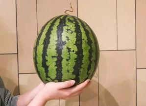 杭州爱马仕网红吃瓜,揭秘幕后真相与网络热议