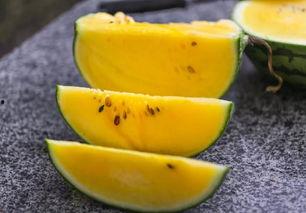 杭州爱马仕网红吃瓜,揭秘幕后真相与网络热议