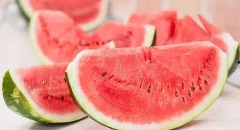 大王吃瓜网,揭秘娱乐圈最新热点，带你领略明星幕后故事